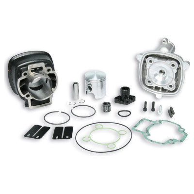 Malossi Kit cilindru fonta 47 pin 12 H2O 31 7353  