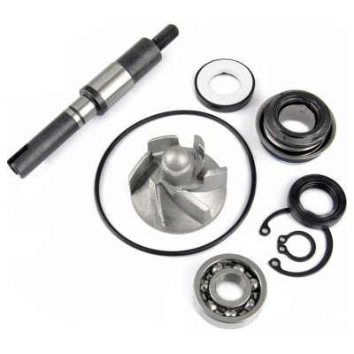 TNT Tuning MECANISM POMPA DISTRIBUITOR APA HONDA SH 125-150CC 2001-2012 / PANTHEON / DYLAN / SWING 125-150CC 2001-2008