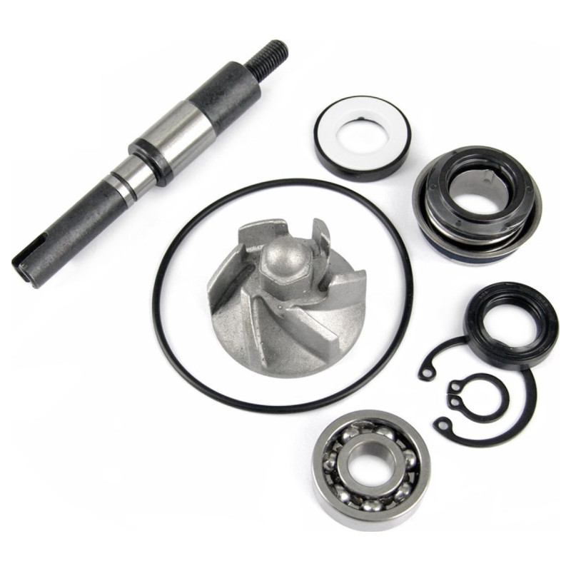 TNT Tuning MECANISM POMPA DISTRIBUITOR APA HONDA SH 125-150CC 2001-2012 / PANTHEON / DYLAN / SWING 125-150CC 2001-2008