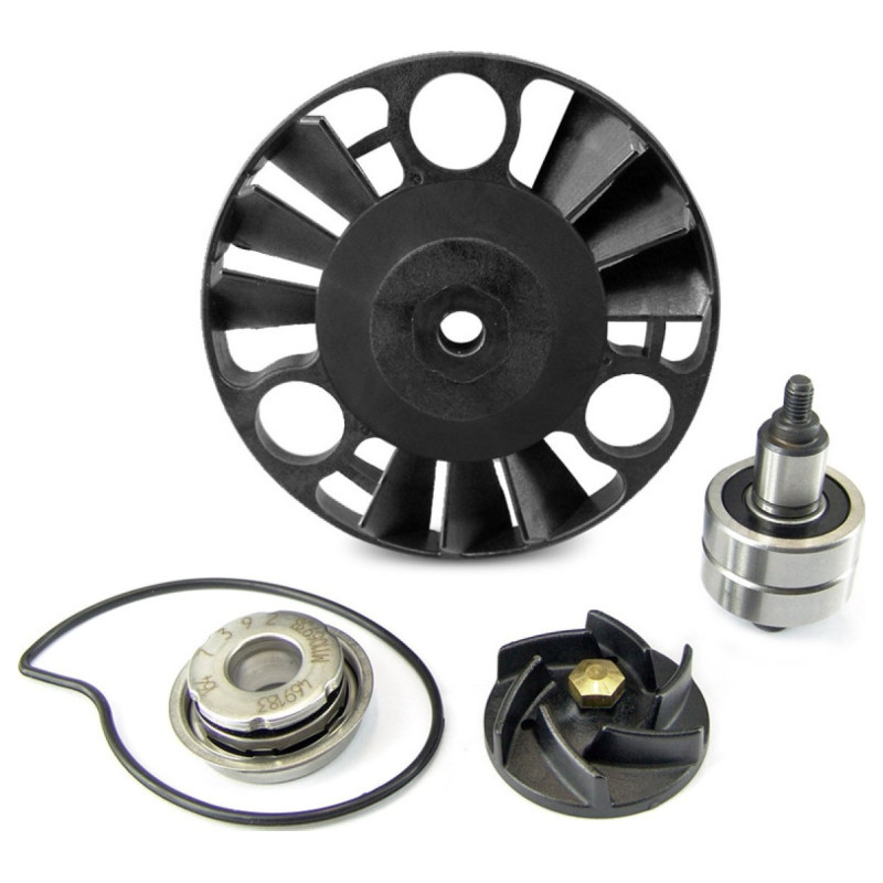 TNT Tuning MECANISM POMPA DISTRIBUITOR APA PIAGGIO 125 MP3-X EVO-X7-X8-X9-GTS / APRILIA 125 ATLANTIC / GILERA 125 NEXUS