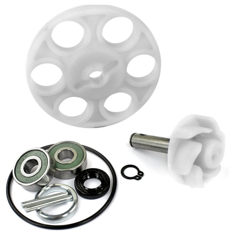TNT Tuning MECANISM POMPA APA YAMAHA AEROX / APRILIA SR LC 50CC ( 10PCS ) 093610 3661251063458 