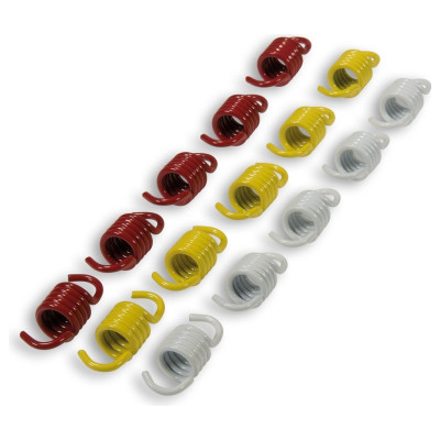 Malossi SET RACING SPRING pentru AMBREIAJ ORIGINAL 2917505  