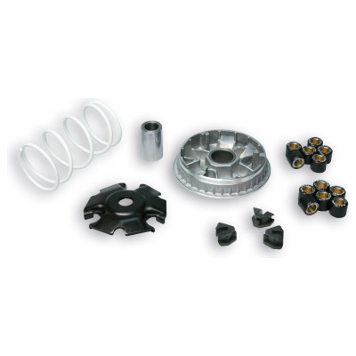 Malossi Variator MULTIVAR 2000 5111885  