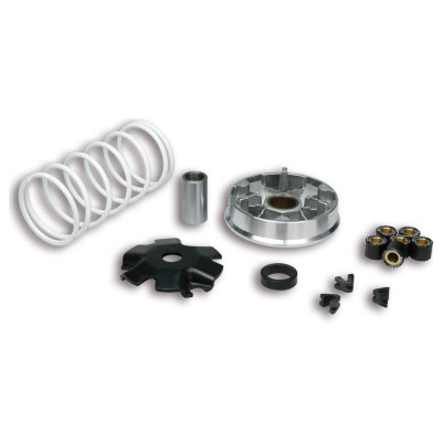Malossi Variator MULTIVAR pentru scooter 51 9988  