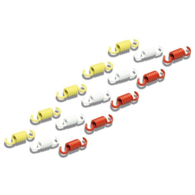 Malossi Set arcuri racing pentru ambreiaj original scuter maxi 2913725  