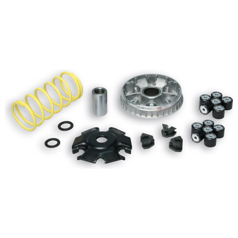Malossi Variator MULTIVAR 2000 5118659  