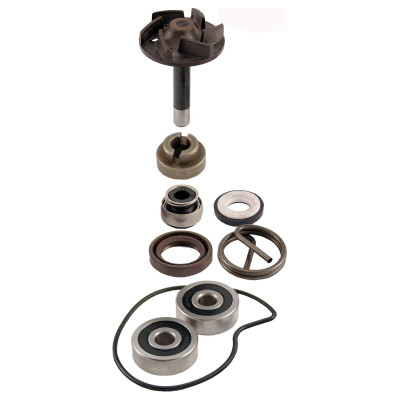 RMS Kit reparatie pompa de apa RMS Piaggio Beverly 250cc 2004/2005 100110220 8057570002714 100110220