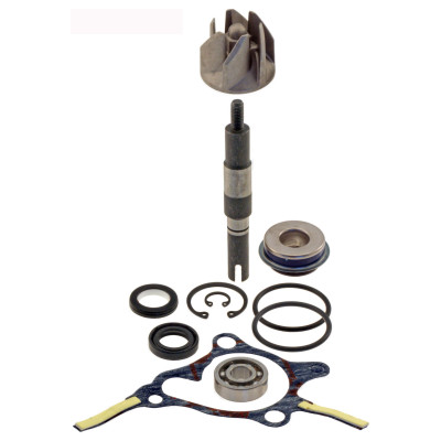 RMS Kit reparatie pompa de apa RMS Honda Foresight 250cc 1998 100110310 8057570002806 100110310