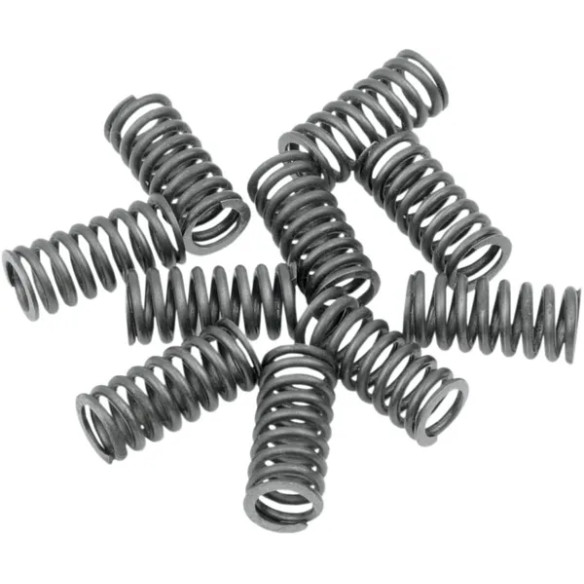EASTERN MOTORCYCLE PARTS Arcuri ambreiaj rezistenta sporita 11311808  X6EFPJY