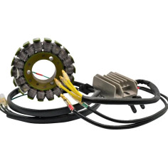 RICK'S MOTORSPORT ELECTRIC Kit de Incarcare Lithium-Ion 21121700  QTYJQD2