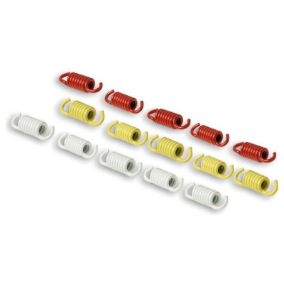Malossi Set arcuri RACING pentru scuter maxi 2913137  