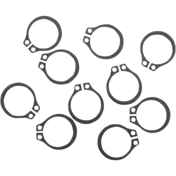 EASTERN MOTORCYCLE PARTS Inele de retentie pompa ulei DS173403  VAM4MM5