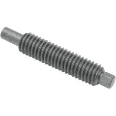 EASTERN MOTORCYCLE PARTS Surub de reglare brat schimbator 11100044  CPMVW92