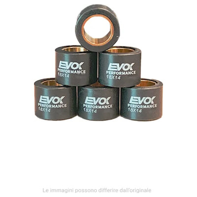 Evok Set role variator EVOK Iron Drive CVT 18x14 mm 13,5 g 100480048 8057570010566 100480048