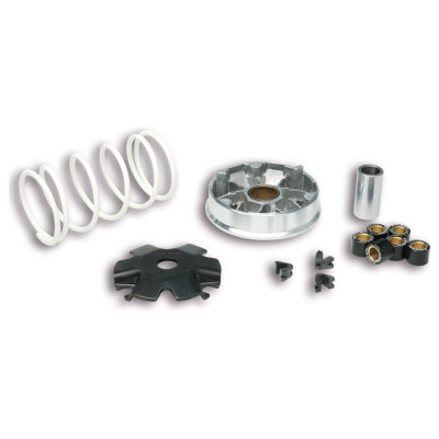Malossi Variator MULTIVAR pentru scooter 5113139  
