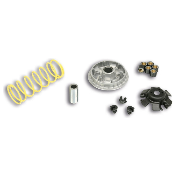 Malossi Variator MULTIVAR 2000 5113597  
