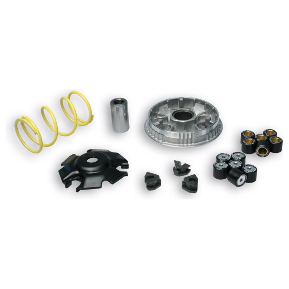 Malossi Variator MULTIVAR 2000 5115552  